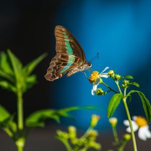 Photography for Ski Resorts