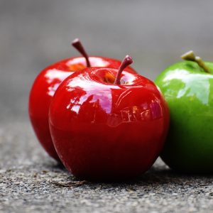 Photography for Garden and Landscaping Companies